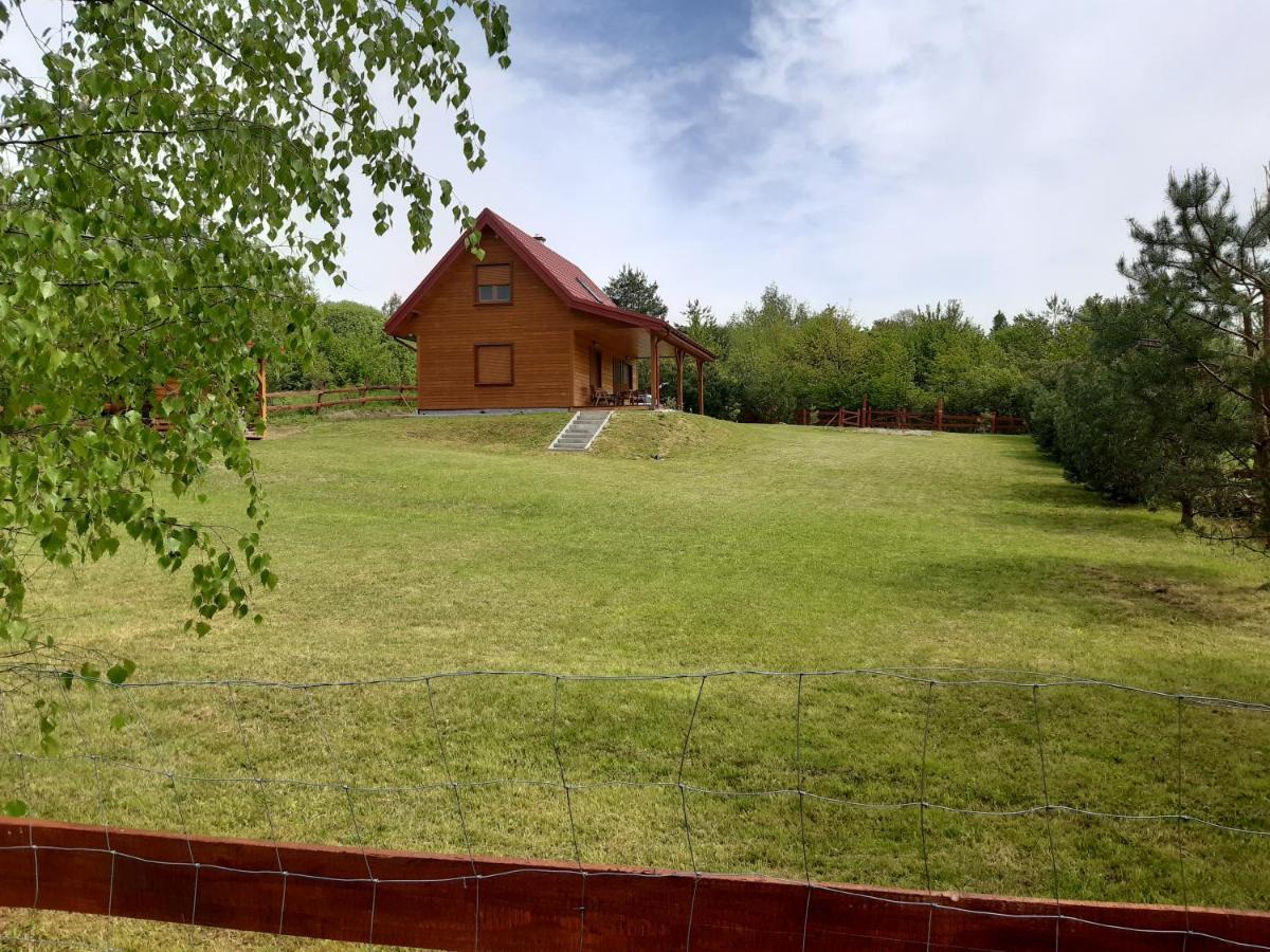Dom Nad Dolina Sanu Villa Ruszelczyce Luaran gambar