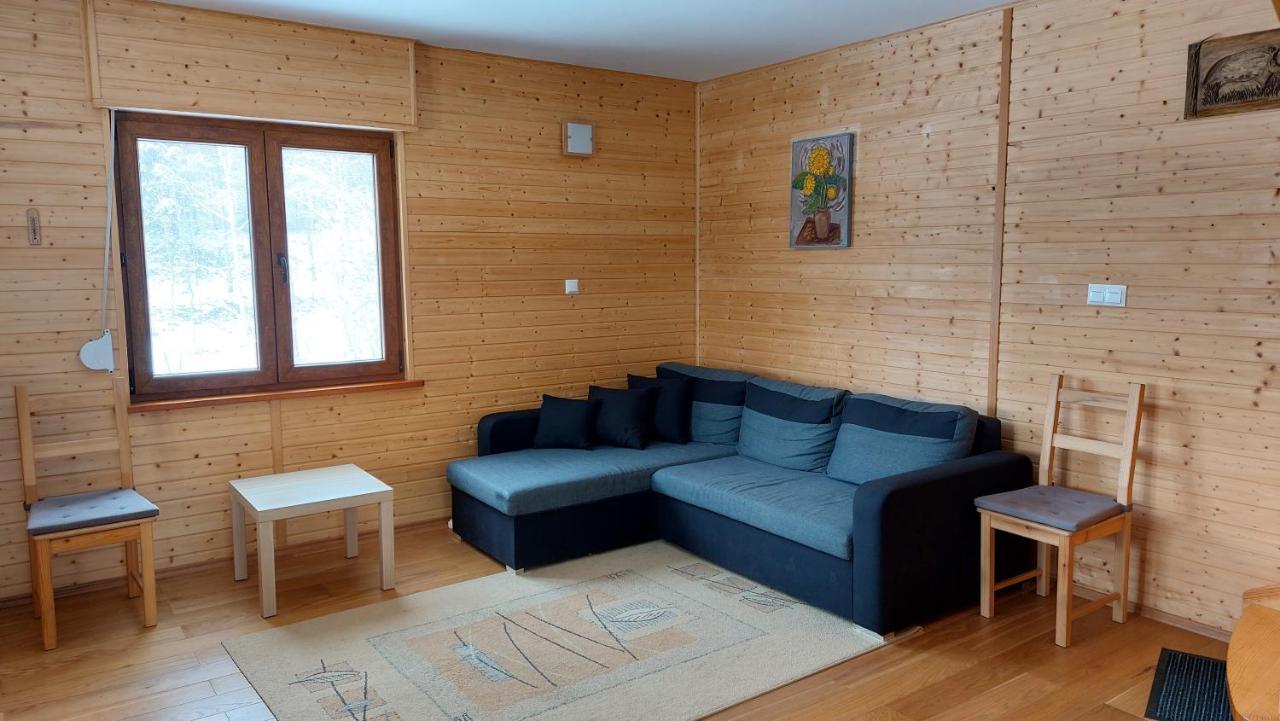Dom Nad Dolina Sanu Villa Ruszelczyce Luaran gambar