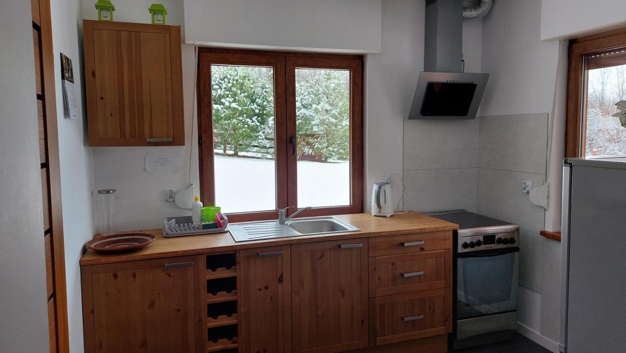 Dom Nad Dolina Sanu Villa Ruszelczyce Luaran gambar