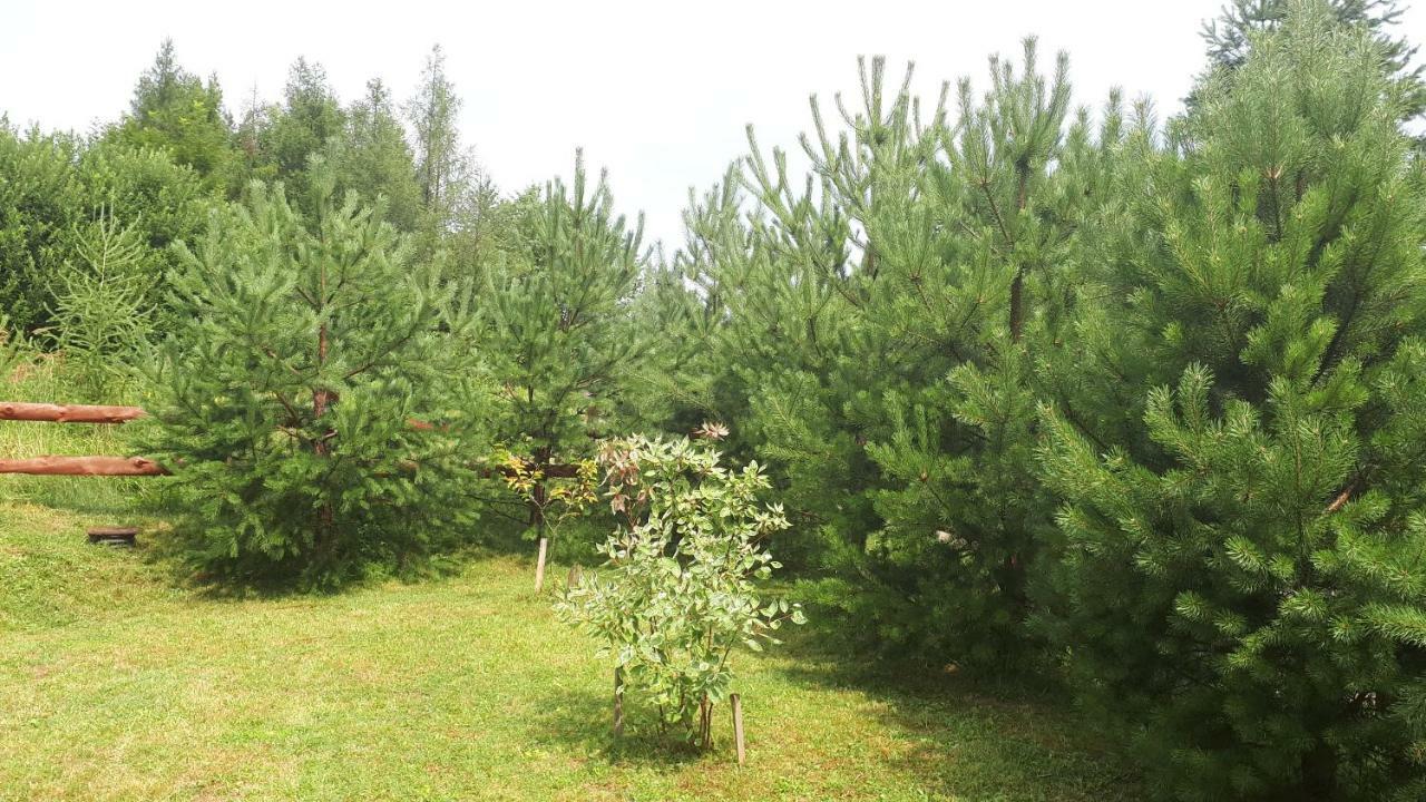 Dom Nad Dolina Sanu Villa Ruszelczyce Luaran gambar