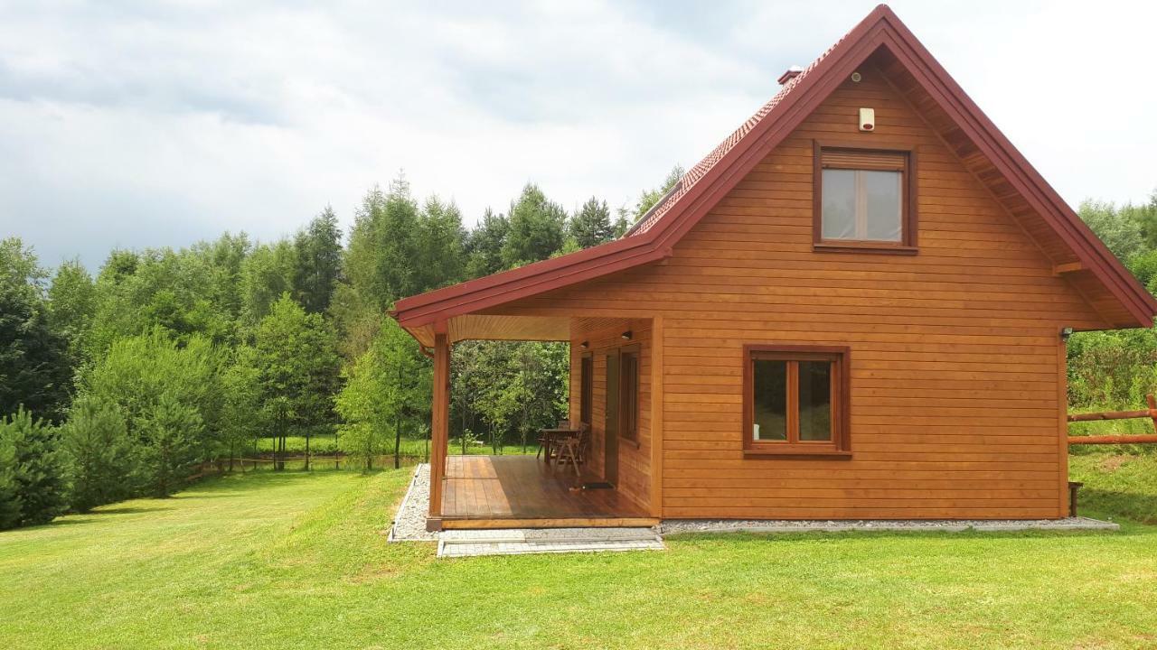 Dom Nad Dolina Sanu Villa Ruszelczyce Luaran gambar